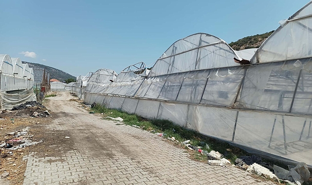 Muğla üreticisine 29 milyon lira tazminat ödendi