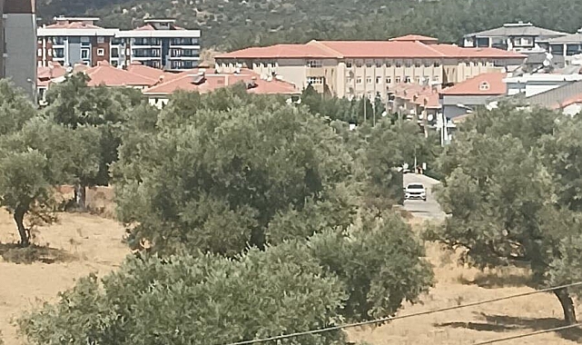 Muğla'da makilik yangını