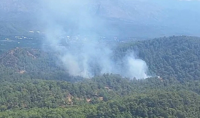 Muğla'da orman yangını