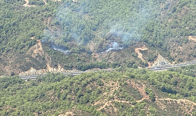 Muğla'da orman yangını kontrol altına alındı