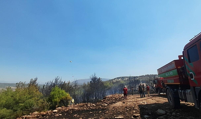 Muğla'daki orman yangını kısmen kontrol altında; 200 hektar alan zarar gördü