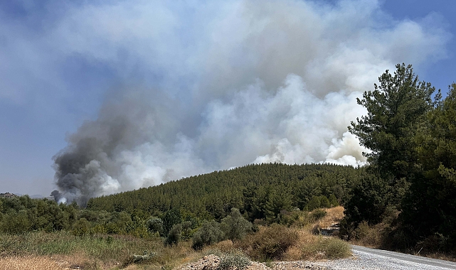 Muğla'daki yangınlar kısmen kontrol altında