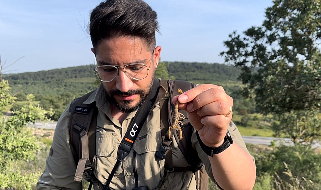 'Örümcek, yılan, akrep çok zehirli' haberlerine, 'Asıl bu haberler zehirli' tepkisi