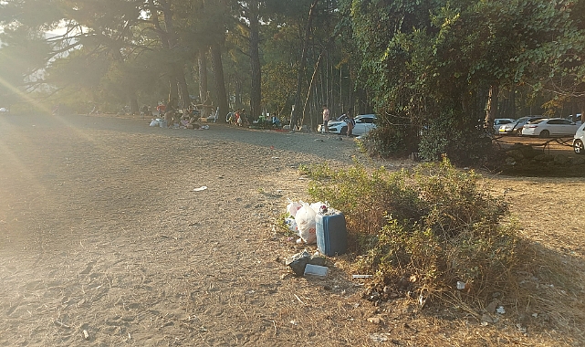 Phaselis Antik Kenti: Doğanın Bize Bıraktığı Mirası Korumak İçin Duyarlı Olalım