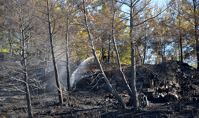 Serik'teki orman yangını 3 saatte söndürüldü