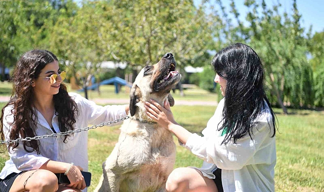 Sütlaç ve Kara'nın artık ailesi var