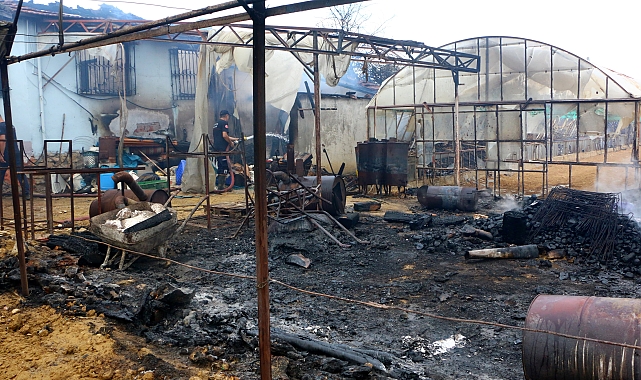 Tütsülemek isterken arı kovanlarını yaktı