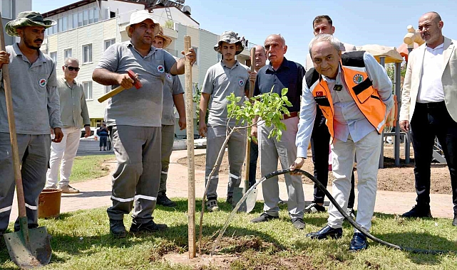 Yenilenen parka ilk ağaç fidanı Kocagöz'den