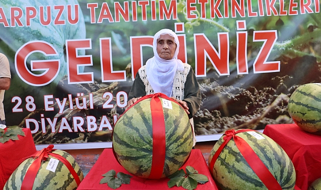 72 yaşındaki üreticinin 48 kilo 700 gramlık karpuzu, yarışmada 1'inci seçildi