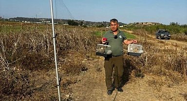 8 saka kuşunu izinsiz yakalayan kaçak avcıya 45 bin lira tazminat cezası
