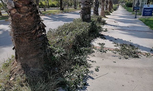 Akdeniz Üniversitesi Çevresinde Yoğun Hazırlıklar