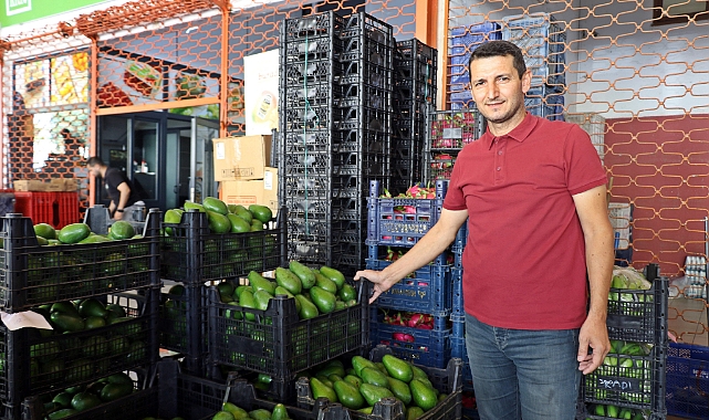 Alanya’da geçen yıl 100 milyon adet üretilen avokadoda bu yılki hedef 150 milyon