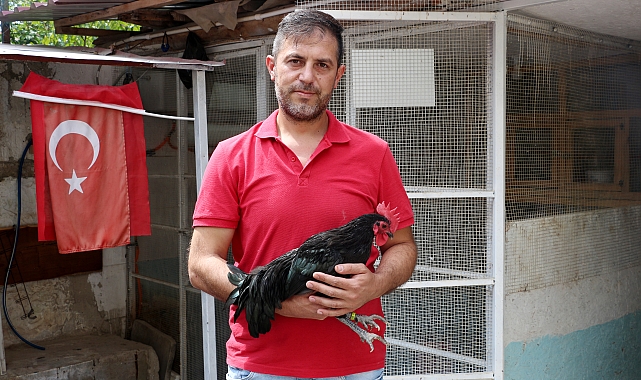 Almanya'dan yumurtasını getirttiği süs tavuğuyla Türkiye'de şampiyon oldu