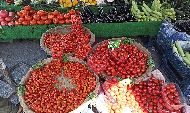 Antalya'da Domates Üretimi Azaldı, Fiyatlar Yükseliyor