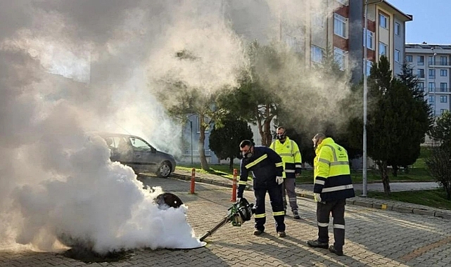 Antalya Kepez ilçesinde sivrisinek sorunu etkili çalışmalarla azalıyor