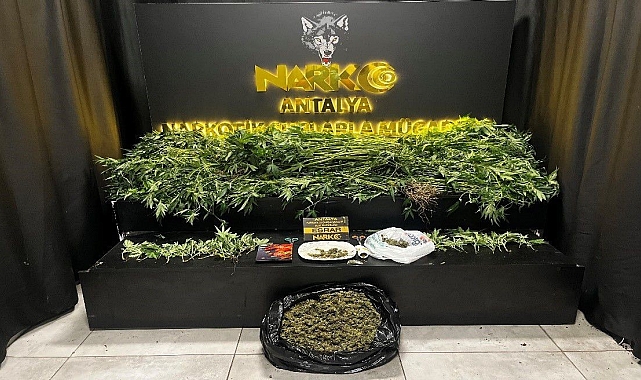Antalya Polisinden Dev Uyuşturucu Operasyonu