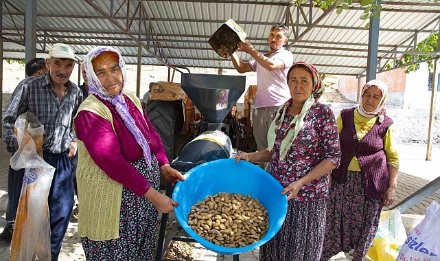 Aydıncık ve Gülnarlı üreticilerin badem soyma derdi bitti