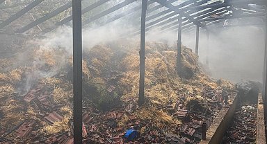 Besihanede çıkan yangında 5 kişi yaralandı, 3 hayvan telef oldu