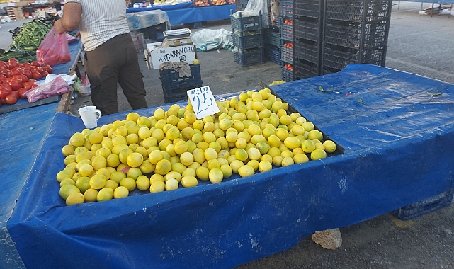Bir Dönemin Zam Şampiyonu Limon'da Fiyatlar Düştü