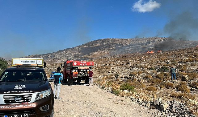 Bodrum'da ot yangını, 2 saatte söndürüldü