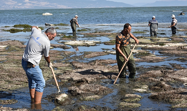 Eğirdir Gölü'nde temizlik çalışması