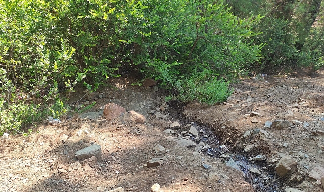 Fethiye'de ormanda terk edilmiş bebek bulundu