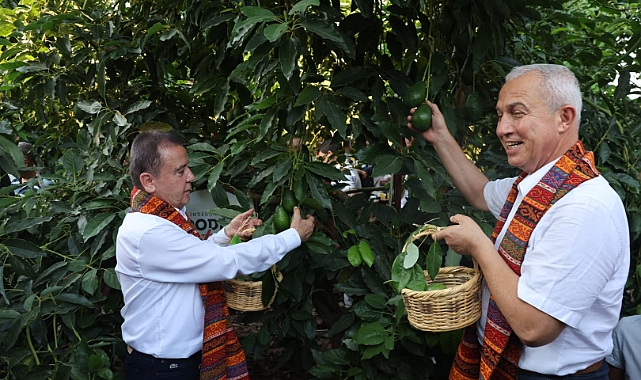 Foodfest Kapsamında İlk Avokado ve Mango Hasadı Gerçekleşti