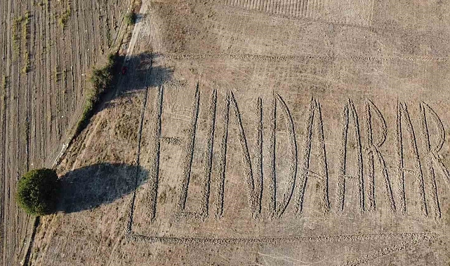 Funda Arar hayranlığı tarlaya traktörle isim yazdırdı
