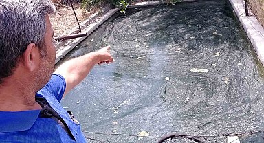 Havuzda mahsur kalan yılan ve fareyi kurtardı, 'güle güle' diye uğurladı