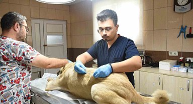 Kepez'den can dosta sıcacık dokunuş