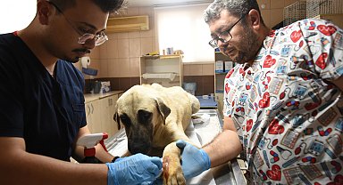 Kepez'den can dosta sıcak dokunuş