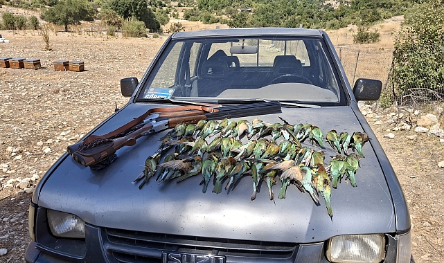Koruma altındaki 45 kuşu katlettiler!