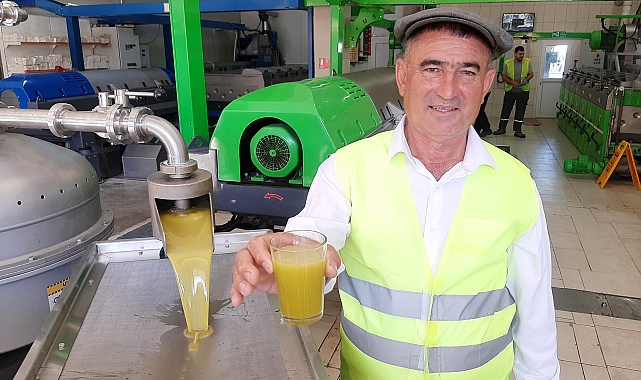 Kumluca'da zeytin sıkma sezonu başladı