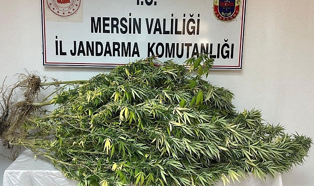 Mersin'de uyuşturucu tacirlerine operasyon: 4 gözaltı