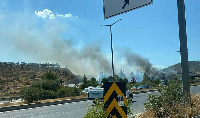 Milas&#039;ta maki yangınında alevler ormana sıçradı