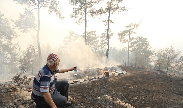 Muğla'da orman yangını sonrası üreticiye destek