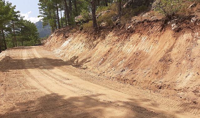Orman yolları yapım çalışmaları sürüyor