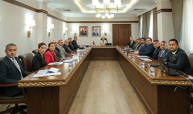 Vali Bilgihan, Özel İdare'de