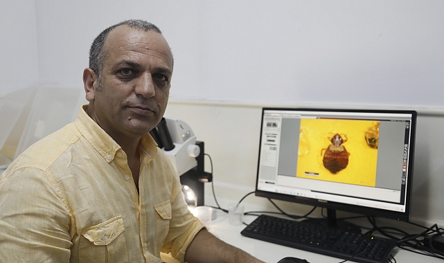 5 yıldızlı otellerde tahtakurusu alarmı; yumurtaları valizle taşınıyor