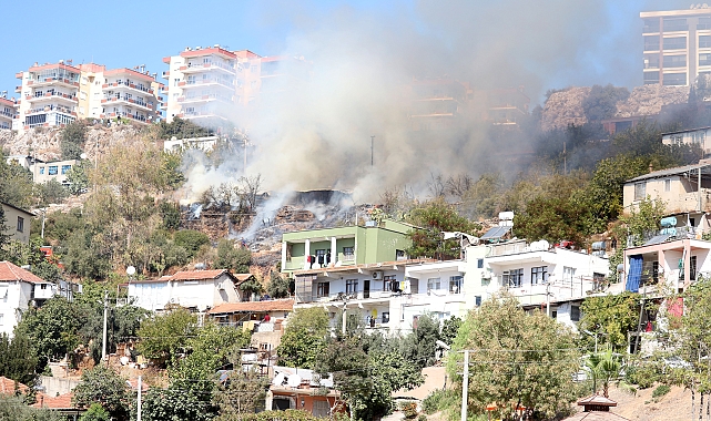Ağıl yangınında 50'ye yakın keçi ve koyun öldü