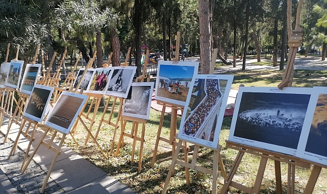 Aktif Felsefe Derneği'nin Bu Yılki Teması "Göç" Oldu