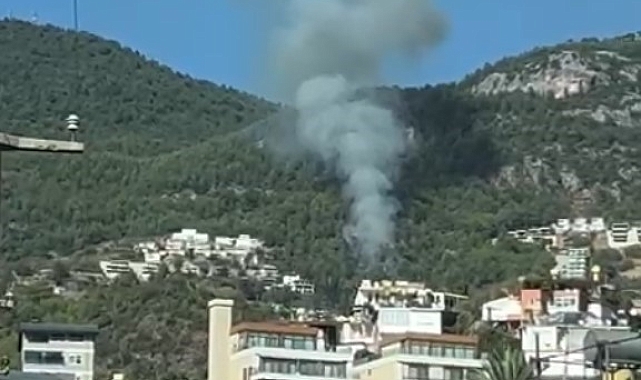 Alanya'da orman yangını