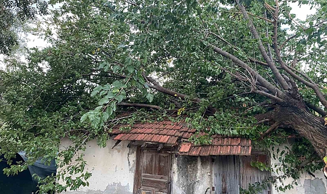 Antalya'da çıkan hortum ev ve seralara zarar verdi