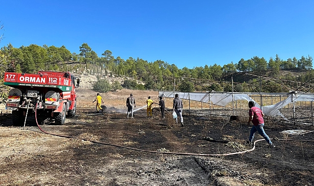 Arazi yangını büyümeden söndürüldü