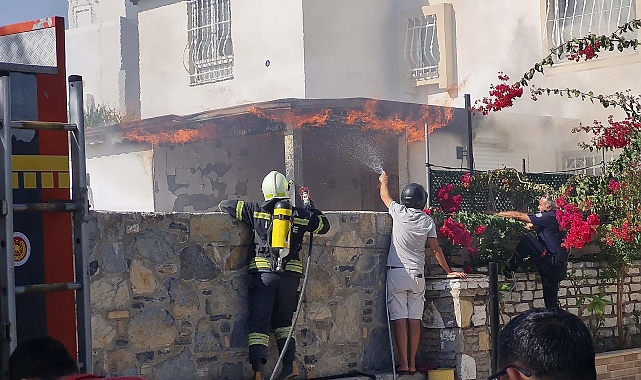 Bodrum'da evde çıkan yangında 2 muhabbet kuşu telef oldu