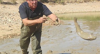 Bodrum'da koruyan göletteki balıklar kurtarıldı