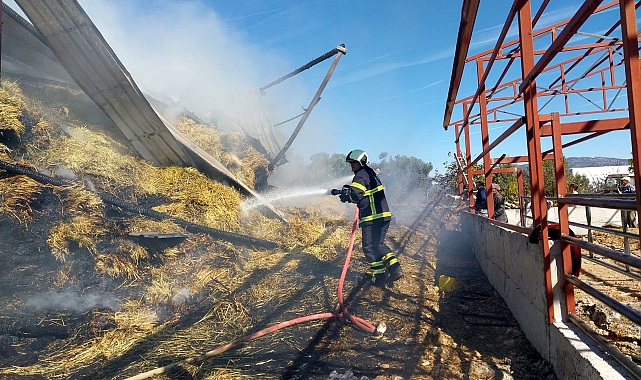 Bucak&#039;ta samanlık yangını