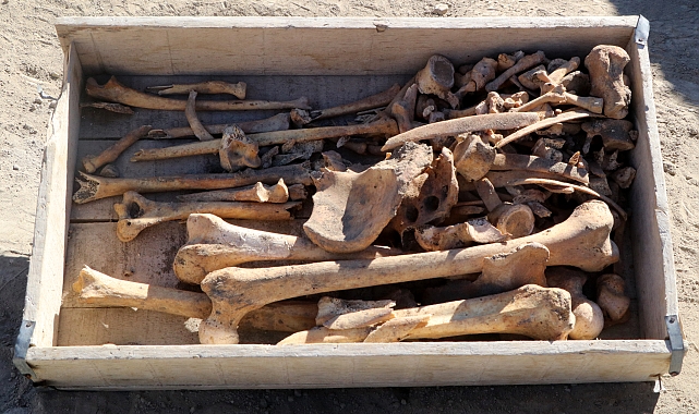 Burdur'daki Hacılar Höyüğü'nde 5 bin yıllık iskelet bulundu