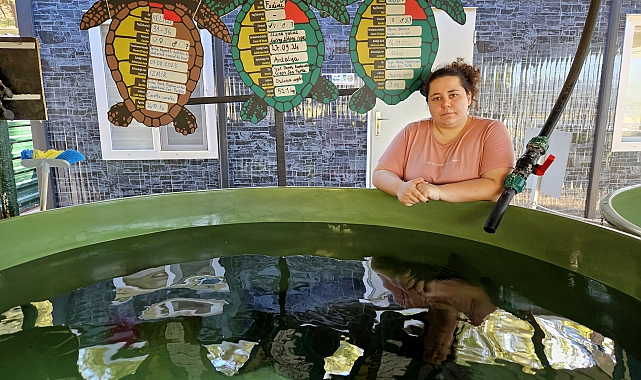 Deniz kaplumbağalarını tekneler ve balıkçı ağları öldürüyor