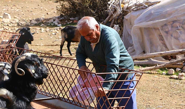 Elmalı'da Çoban Haritası Projesi tamamladı